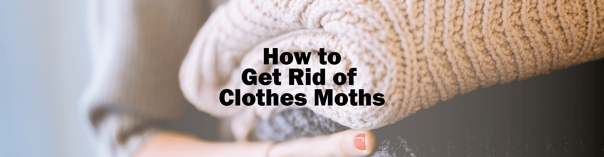 How to Get Rid of Clothes Moths Featured Image
